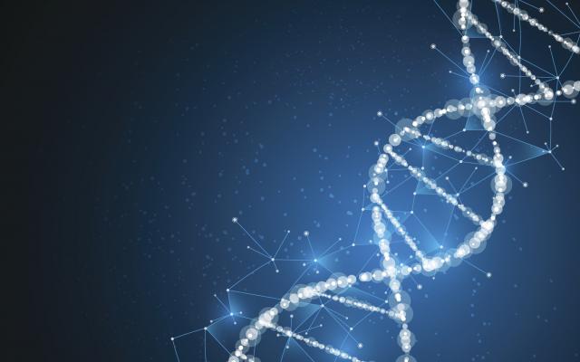 Nauènici uspešno genetski modifikovali ljudski embrion